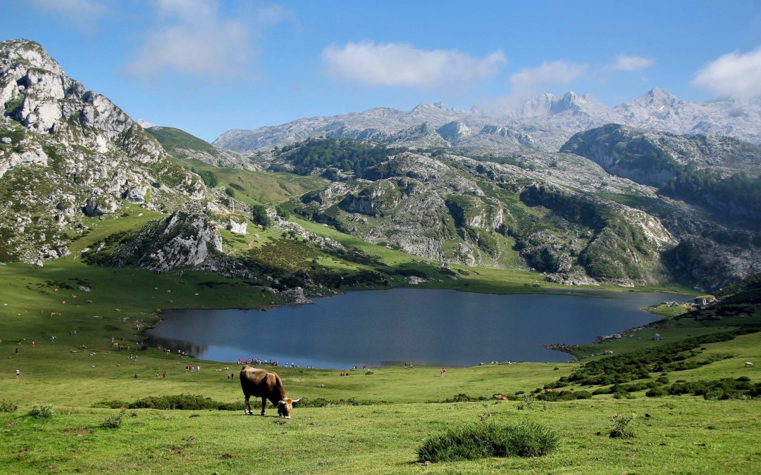 RANDONNEES PYRENEES 2021